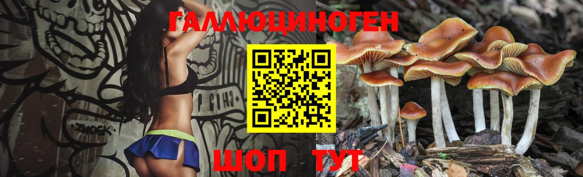 Клин  Галлюциногенные грибы Cubensis  Вход с VPN 