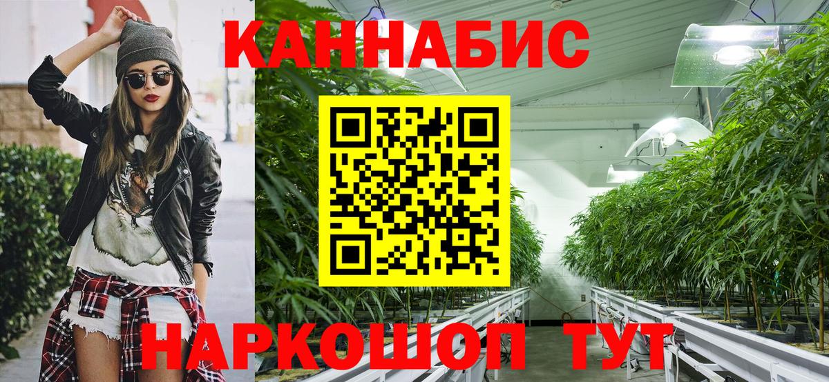 Шишки марихуана сатива Клин